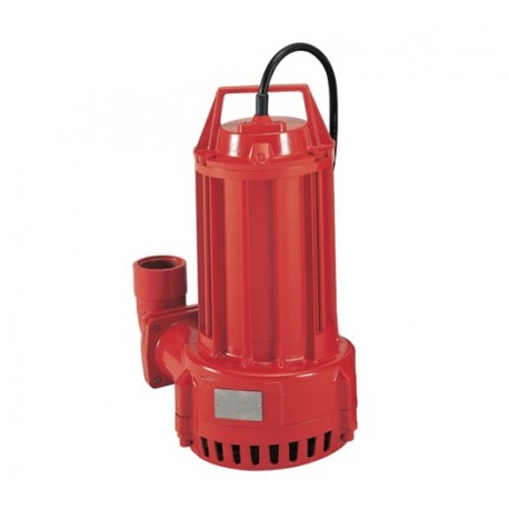 Pompe à eau immergée électrique 220 V - 40 m3/h